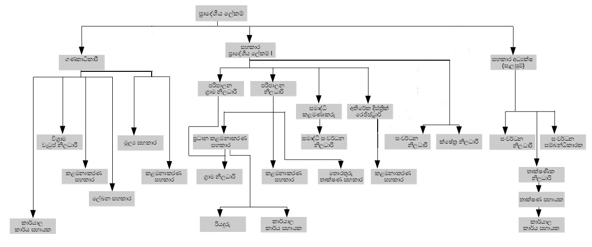 organization structure si