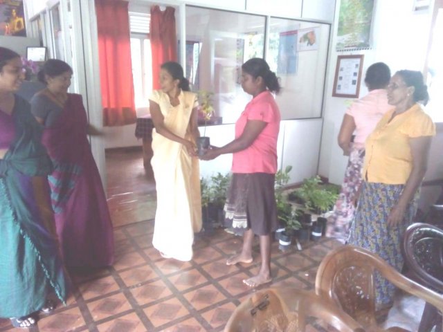 Presides official programmes in mirigama